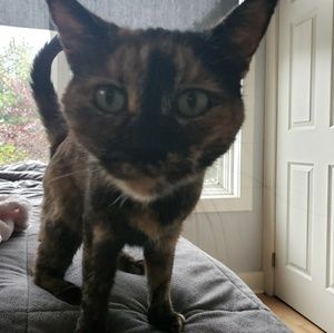 Meet your Posher, Nina